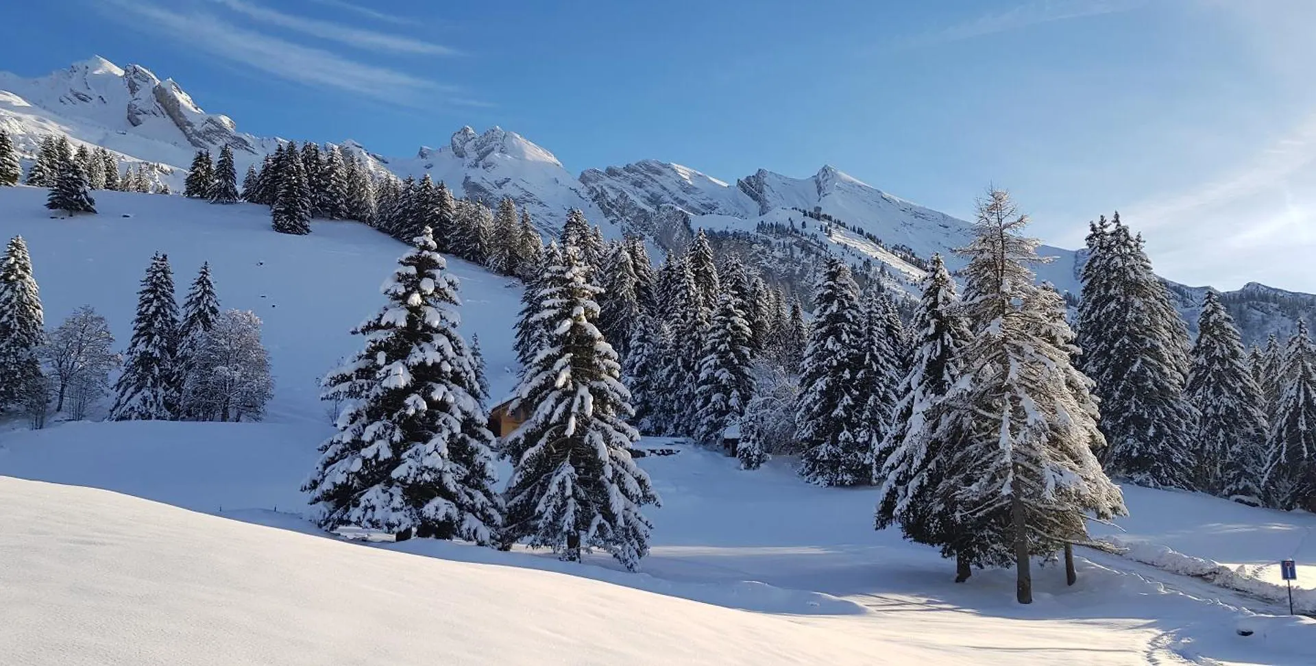 Appartement Cosy Face Aux Aravis Le Grand-Bornand
