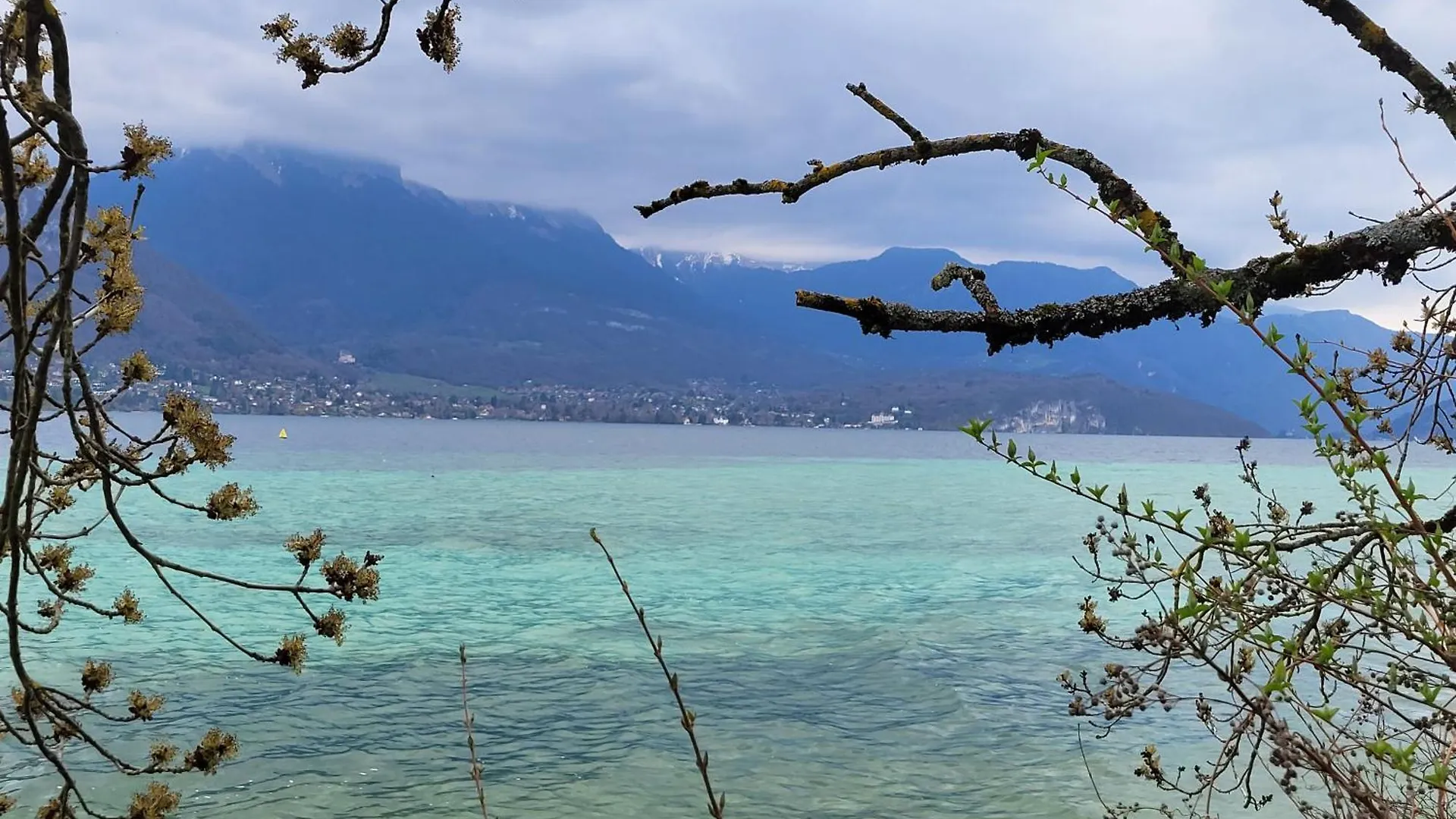 Appartement Cosy Face Aux Aravis Le Grand-Bornand
