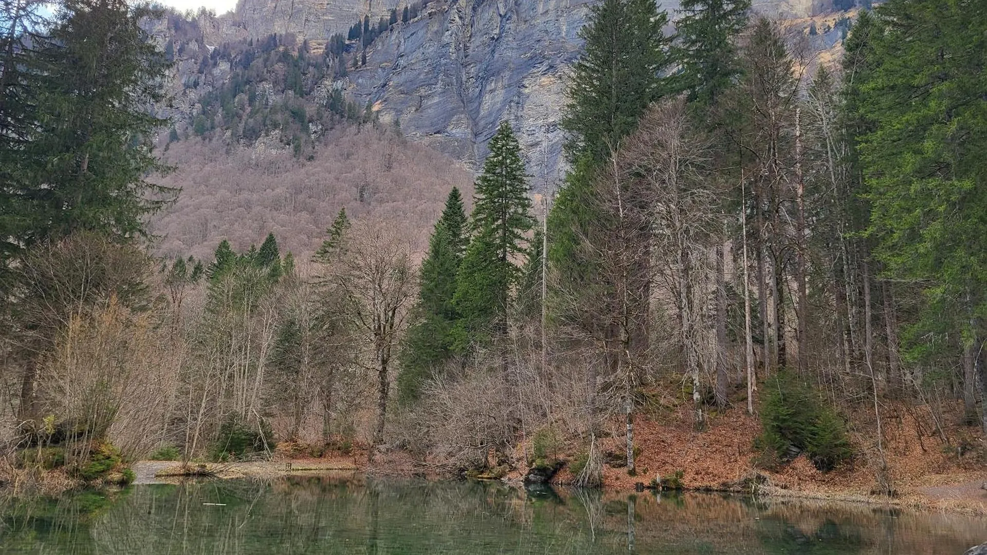Appartement Cosy Face Aux Aravis Le Grand-Bornand